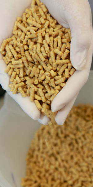 Animal Feed Industry 300x600